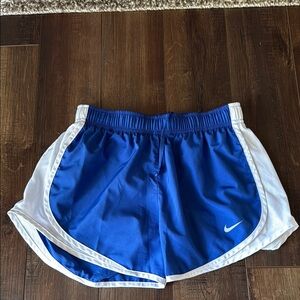 Nike Blue and White Athletic Shorts lining cut out.